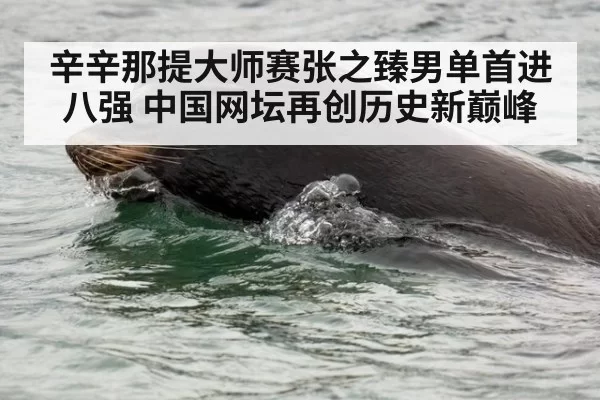 辛辛那提大师赛张之臻男单首进八强 中国网坛再创历史新巅峰